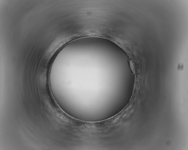 X0000091990194200709201454