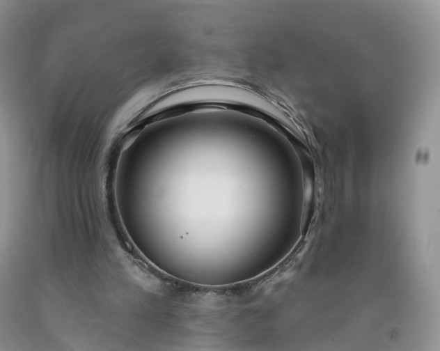 X0000091990197200709201454