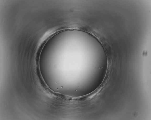 X0000091990198200709201454