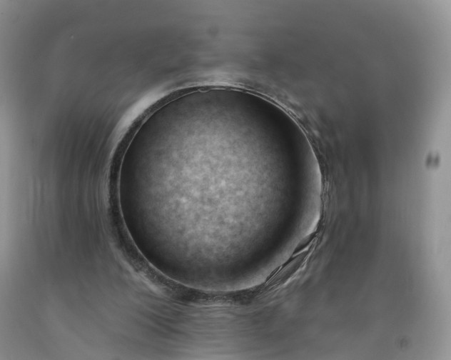 X0000091990200200709201454