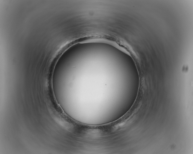 X0000091990203200709201454