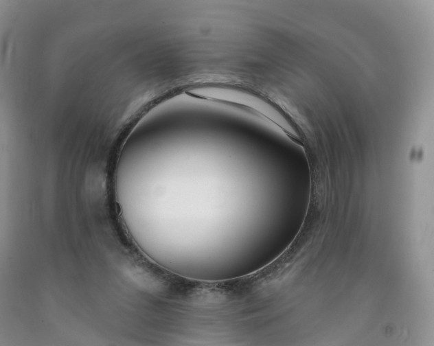 X0000091990207200709201454