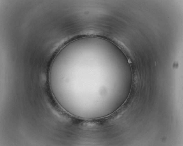 X0000091990208200709201454