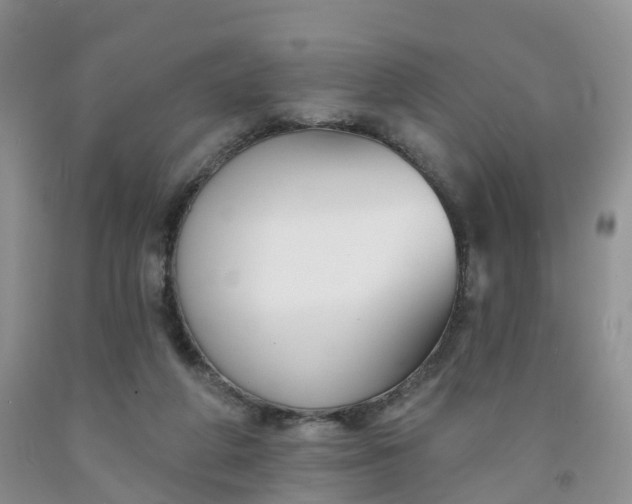 X0000091990210200709201454