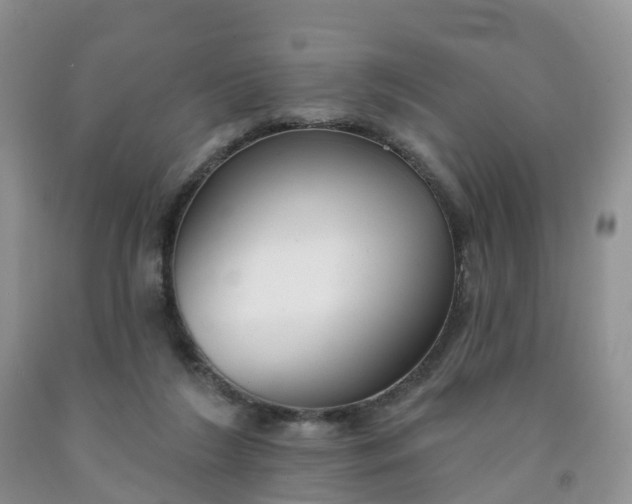 X0000091990212200709201454