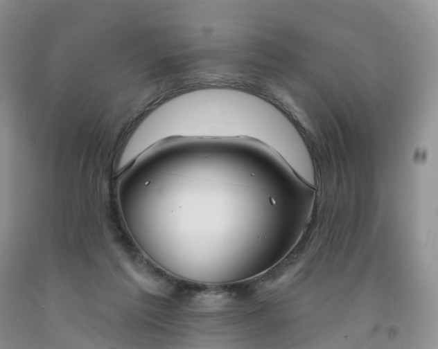 X0000091990213200709201454
