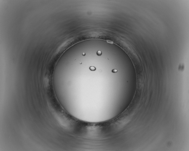 X0000091990216200709201454