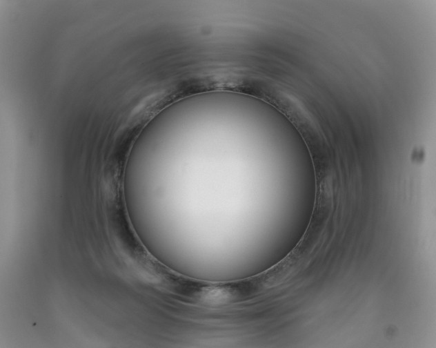 X0000091990218200709201454