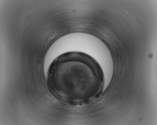 X0000091990219200709201454