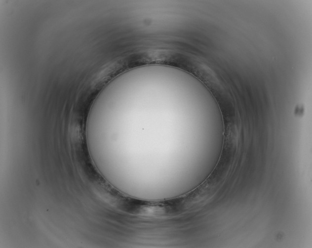 X0000091990220200709201454