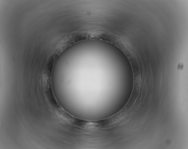 X0000091990222200709201454