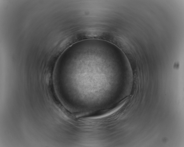 X0000091990227200709201454