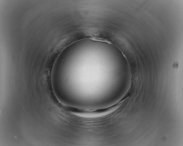 X0000091990229200709201454