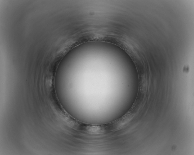 X0000091990230200709201454