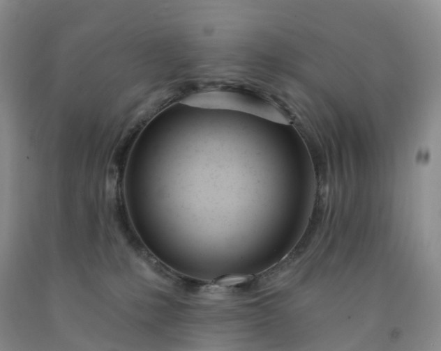 X0000091990231200709201454