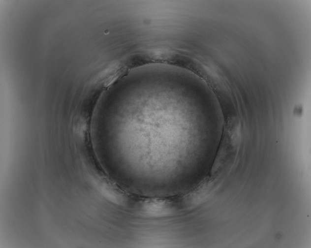 X0000091990235200709201454