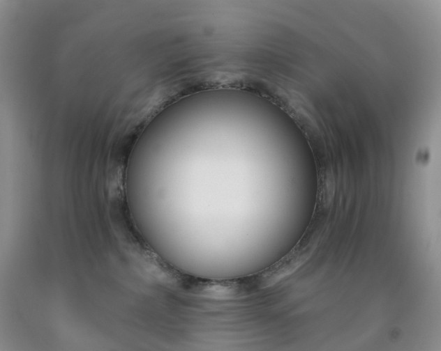 X0000091990236200709201454