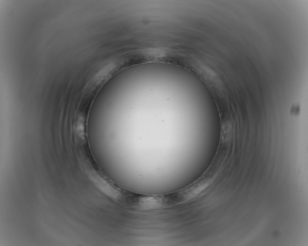 X0000091990238200709201454