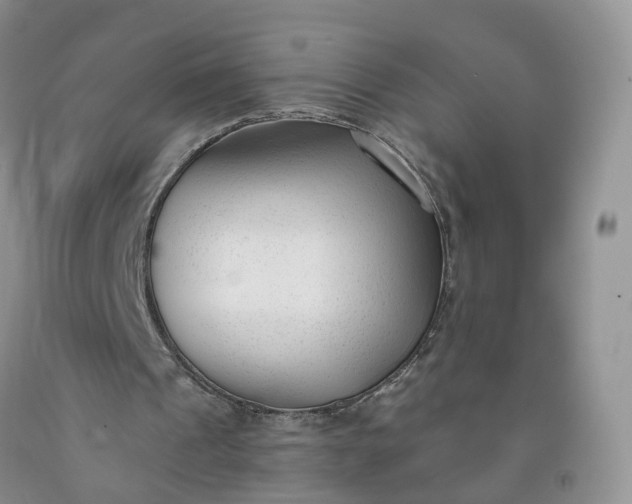 X0000091990241200709201453