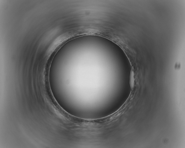 X0000091990242200709201453