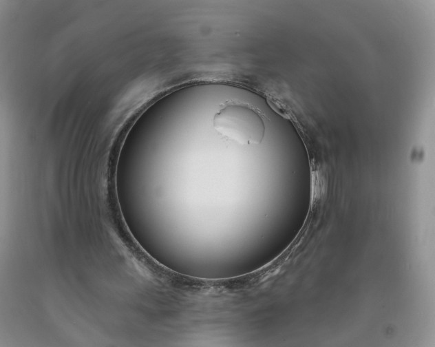 X0000091990243200709201453