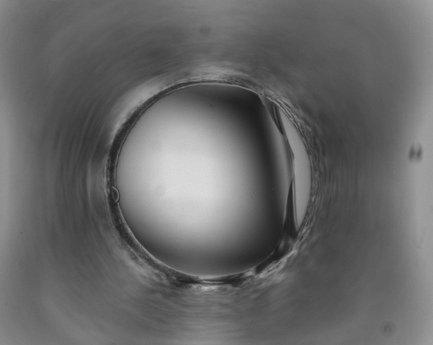 X0000091990244200709201453