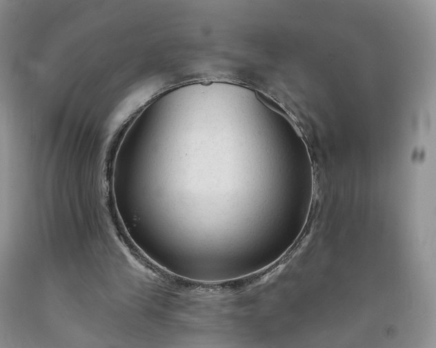 X0000091990245200709201453
