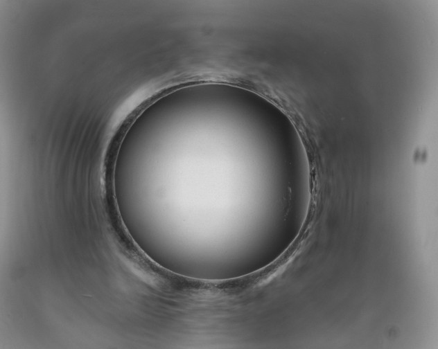 X0000091990246200709201453