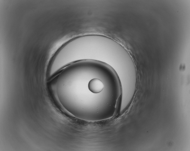 X0000091990248200709201453