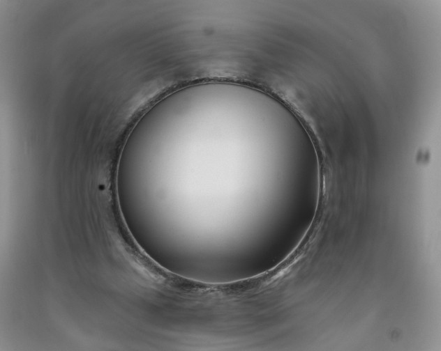 X0000091990249200709201453