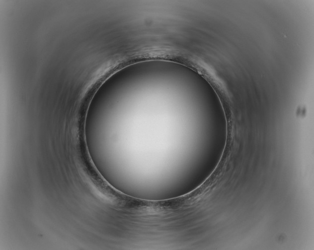 X0000091990250200709201453