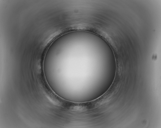 X0000091990251200709201453