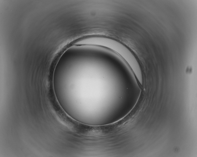 X0000091990252200709201453