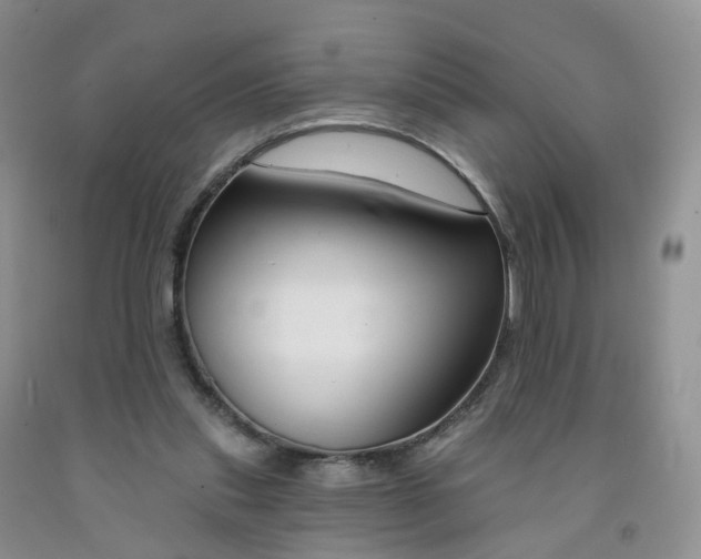 X0000091990253200709201453