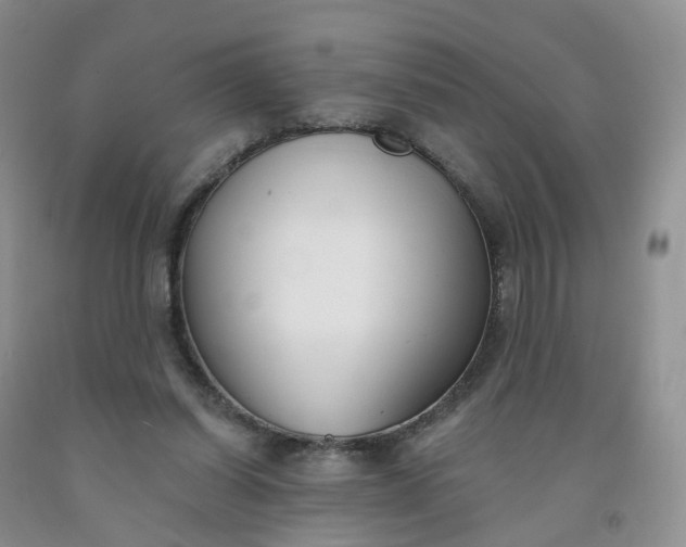 X0000091990254200709201453