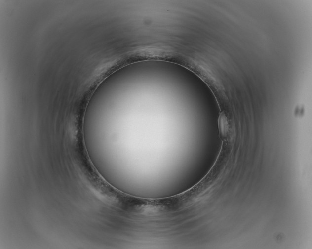 X0000091990255200709201453