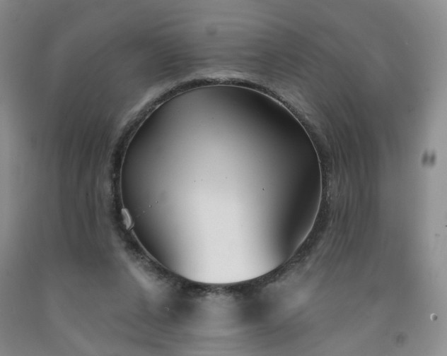 X0000091990256200709201453