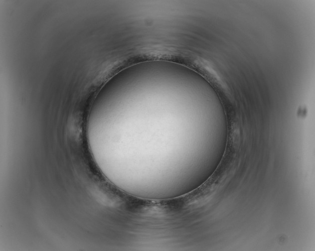 X0000091990259200709201453