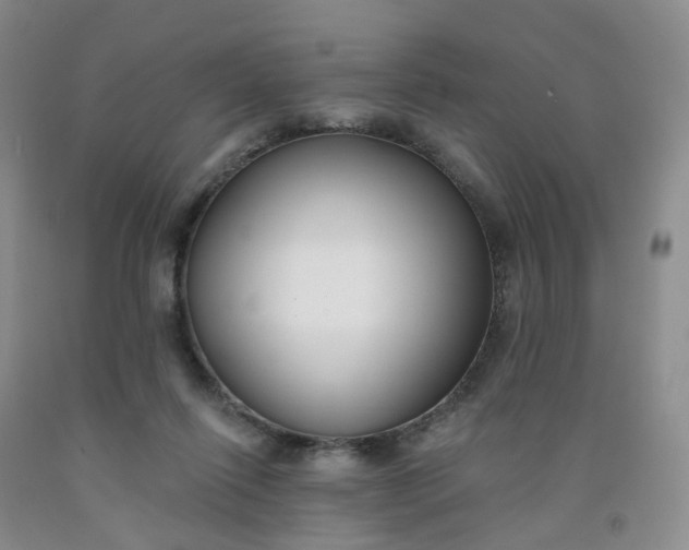 X0000091990262200709201453