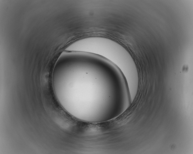 X0000091990263200709201453