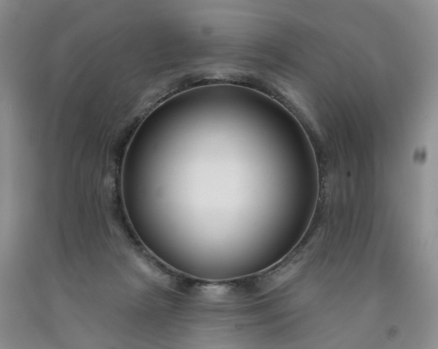 X0000091990265200709201453