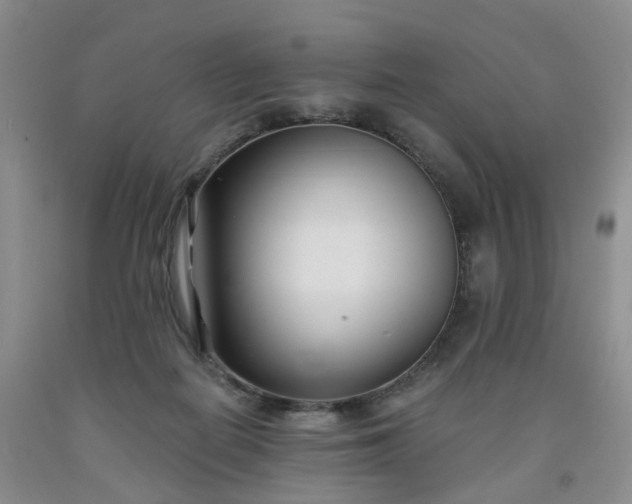 X0000091990266200709201453