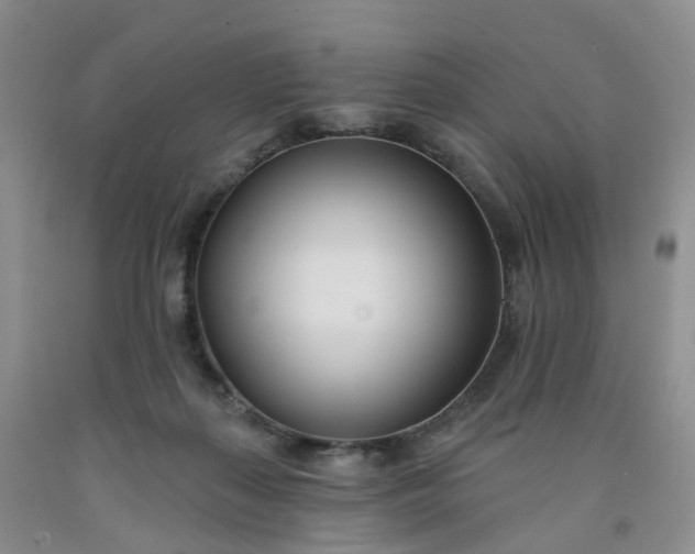 X0000091990267200709201453
