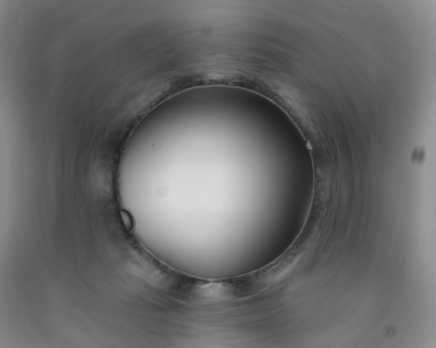 X0000091990269200709201453