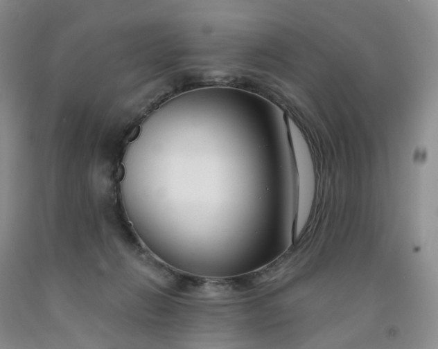 X0000091990270200709201453