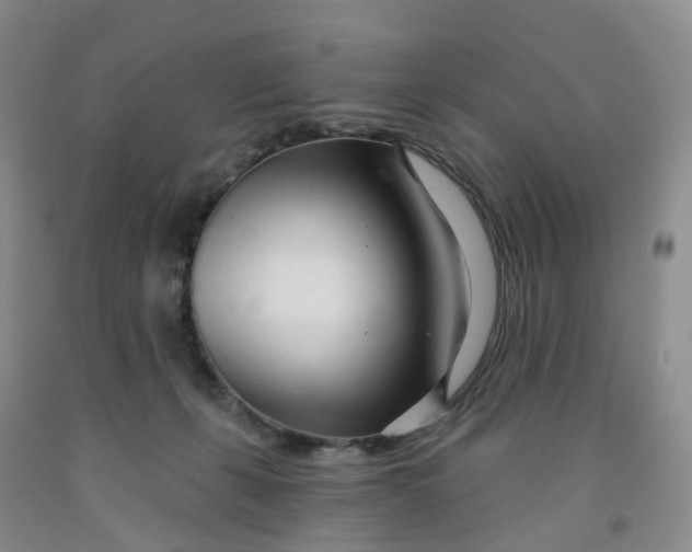 X0000091990271200709201453