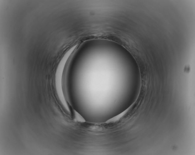 X0000091990272200709201453