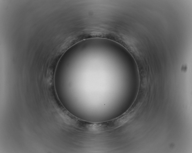 X0000091990273200709201453