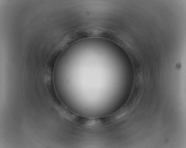 X0000091990274200709201453