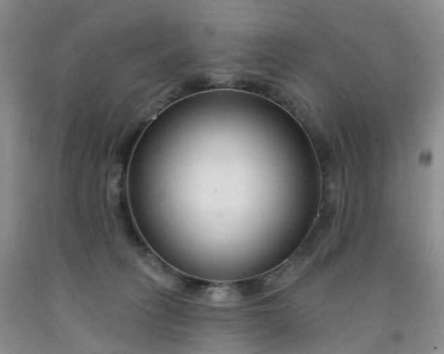 X0000091990275200709201453